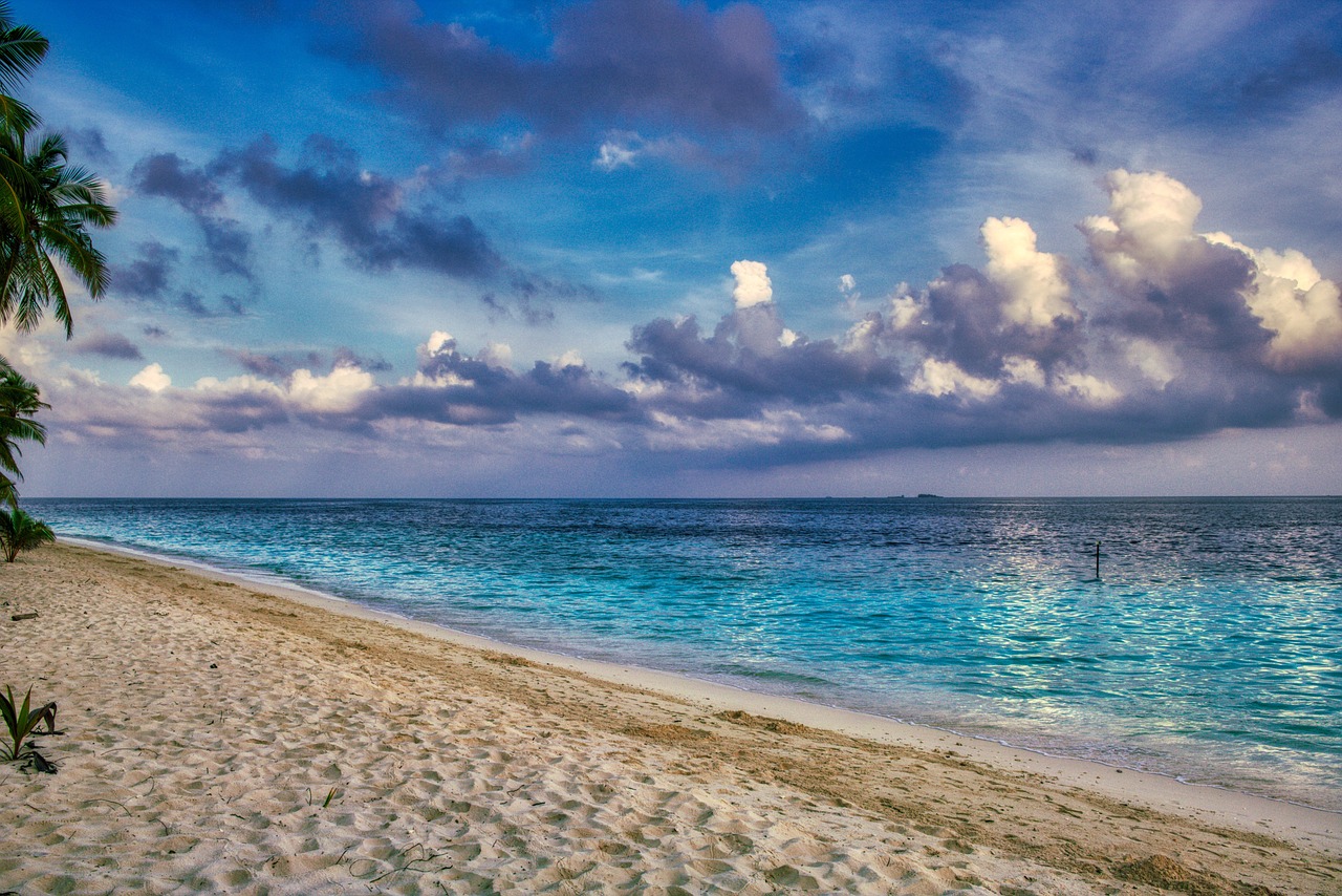 beach, coast, sea