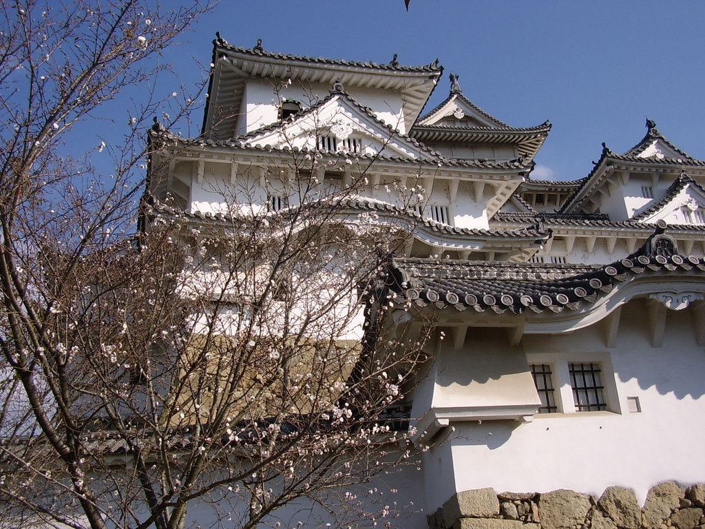 Unveiling Japan’s Treasures: What to Bring Back from the Land of the Rising Sun